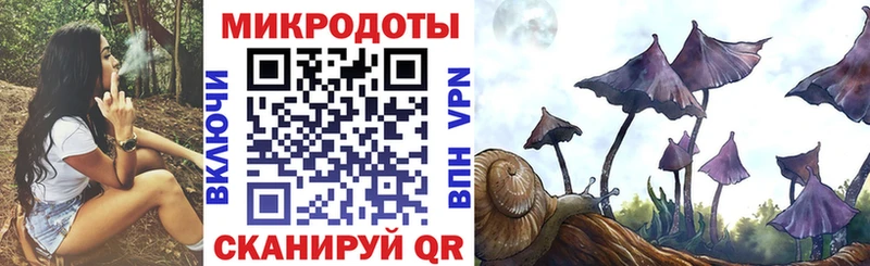 Псилоцибиновые грибы ЛСД  дарнет шоп  Терек 